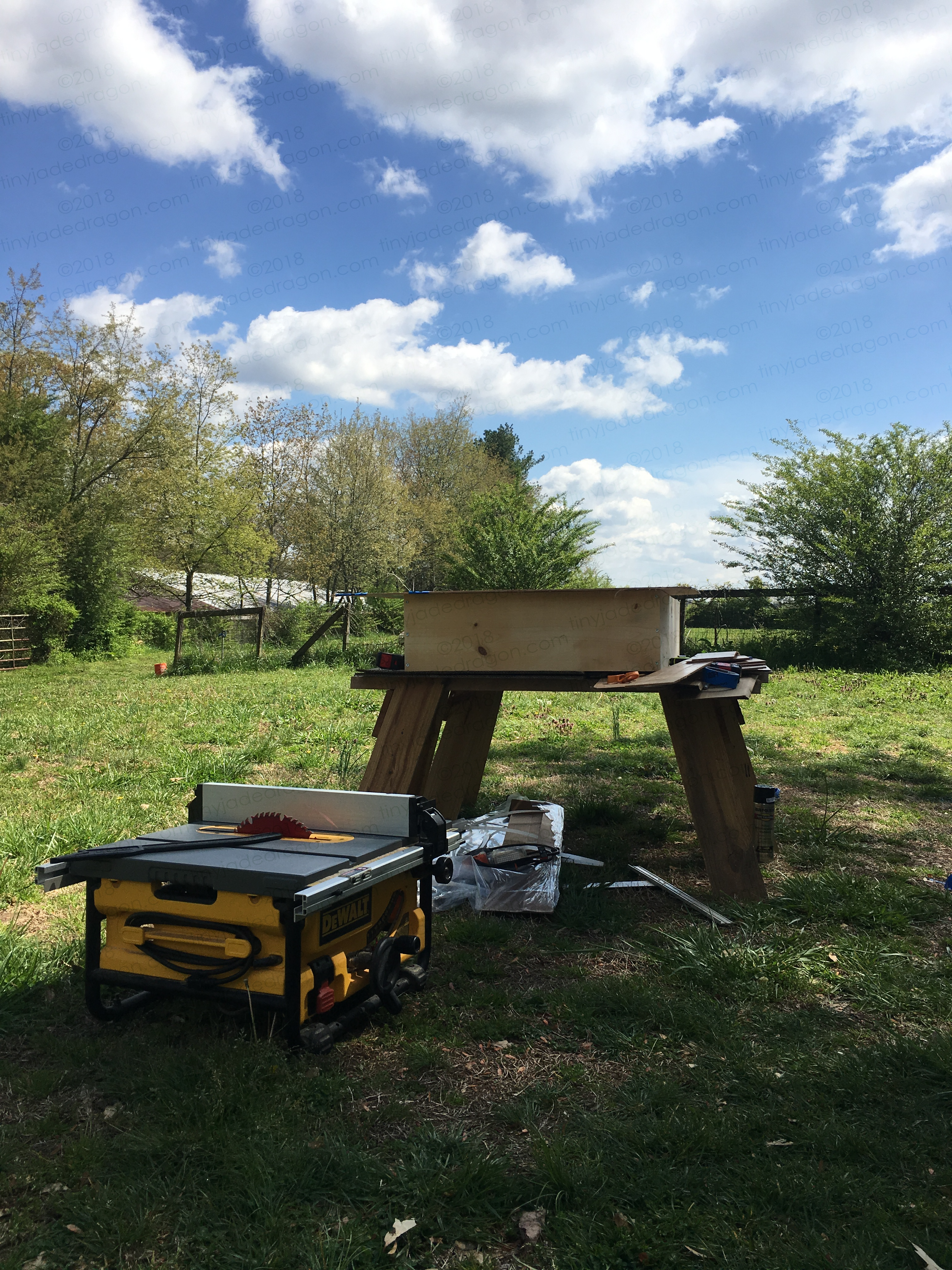 Table Saw Outside Beauty